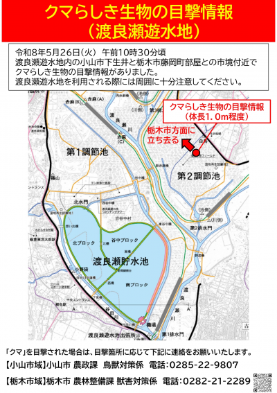 クマらしき生物の目撃情報