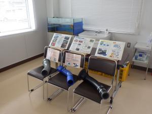 展示