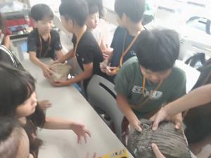 博物館4