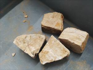 博物館10