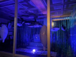 水族館閉館後