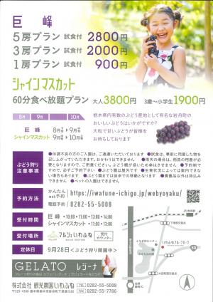 ぶどう狩りウラ