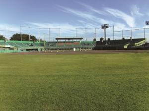 総合運動公園硬式野球