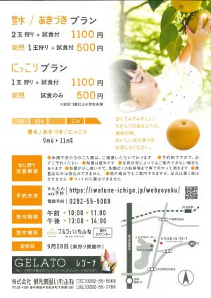 なし狩りチラシ概要