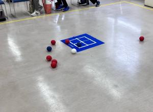 ボッチャのボールが集まっている様子