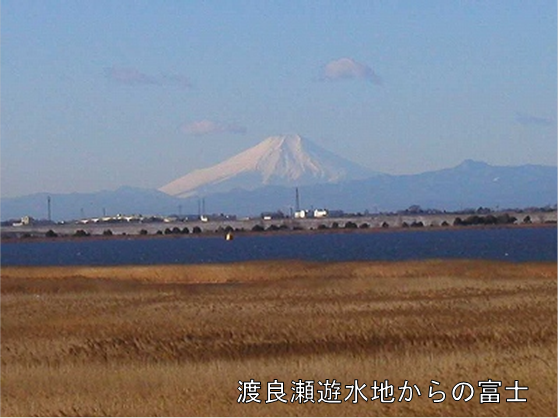 渡良瀬遊水地からの富士の画像