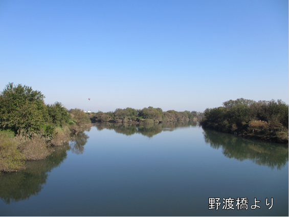 野渡橋よりの画像