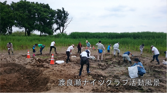 渡良瀬ナイツクラブ活動風景の画像