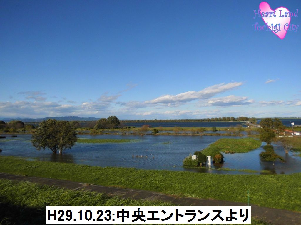 平成29年10月23日：中央エントランスよりの画像