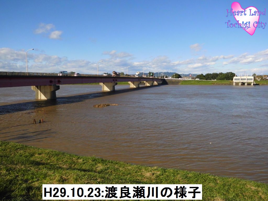 平成29年10月23日：渡良瀬川の様子の画像