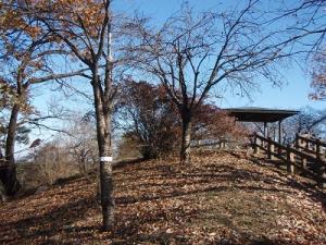 公園：芝塚山公園の画像