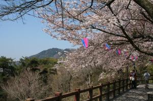 公園：太平山