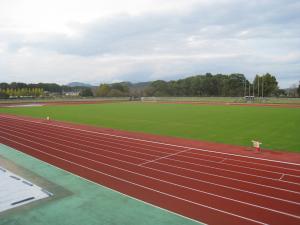 平成30年度陸上競技場の芝生張替工事を行いましたの画像2