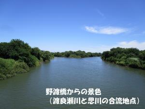 野渡橋から見える渡良瀬川と思川の合流地点の画像