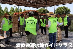 渡良瀬遊水地ガイドクラブの画像