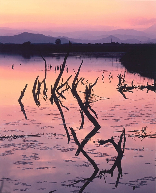 第14回_入選_安藤和幸「明日への夕暮れ」