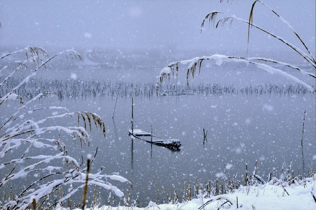 第13回_優秀賞_宮下直子「雪化粧」