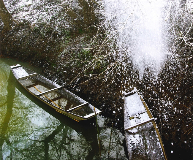 第19回_小山市長賞_青木茂_「樹氷の一瞬」