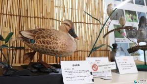 野鳥模型の画像