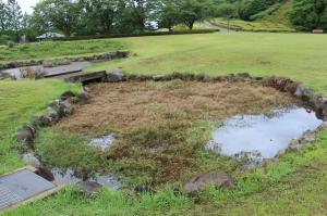 作業前の小倉池の様子