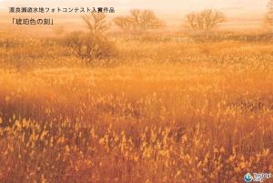 渡良瀬遊水地フォトコンテスト入賞作品「琥珀色の刻」
