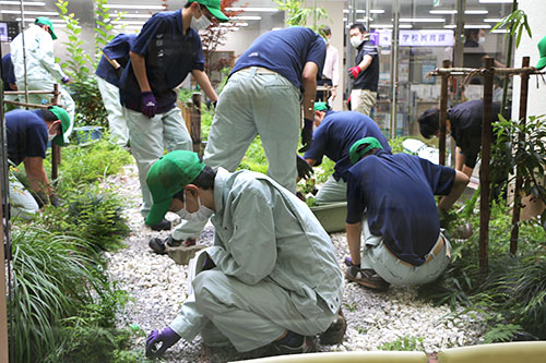 栃農庭園の手入れの様子