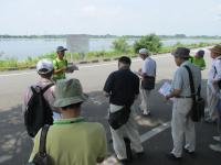 渡良瀬遊水地ガイドの様子