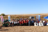 外来植物除去活動集合写真