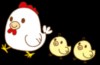 ひよこ
