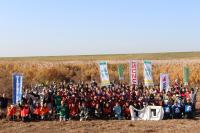 渡良瀬遊水地外来植物除去活動集合写真