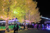 光と音のページェント2025