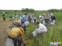 外来植物等除去活動の画像