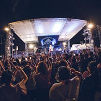 ”なつこい”写真2